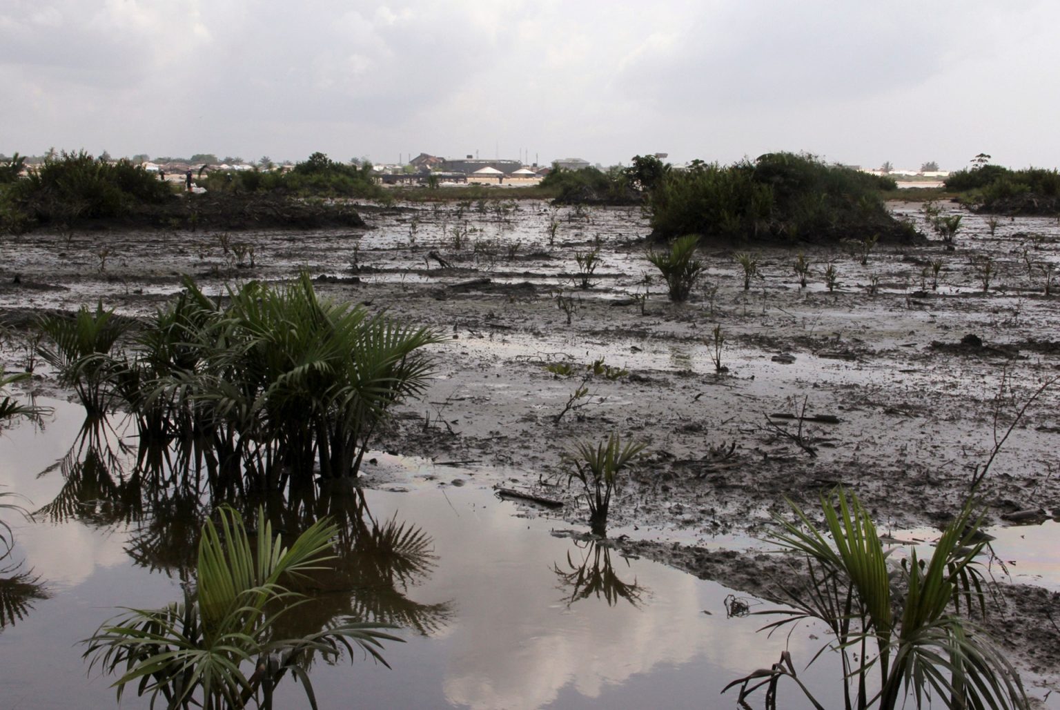 ANEEJ, others take Norwegian Oil Fund to Task on Oil Spills